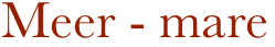 Meer - mare