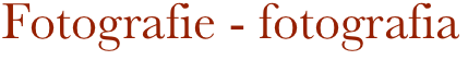 Fotografie - fotografia